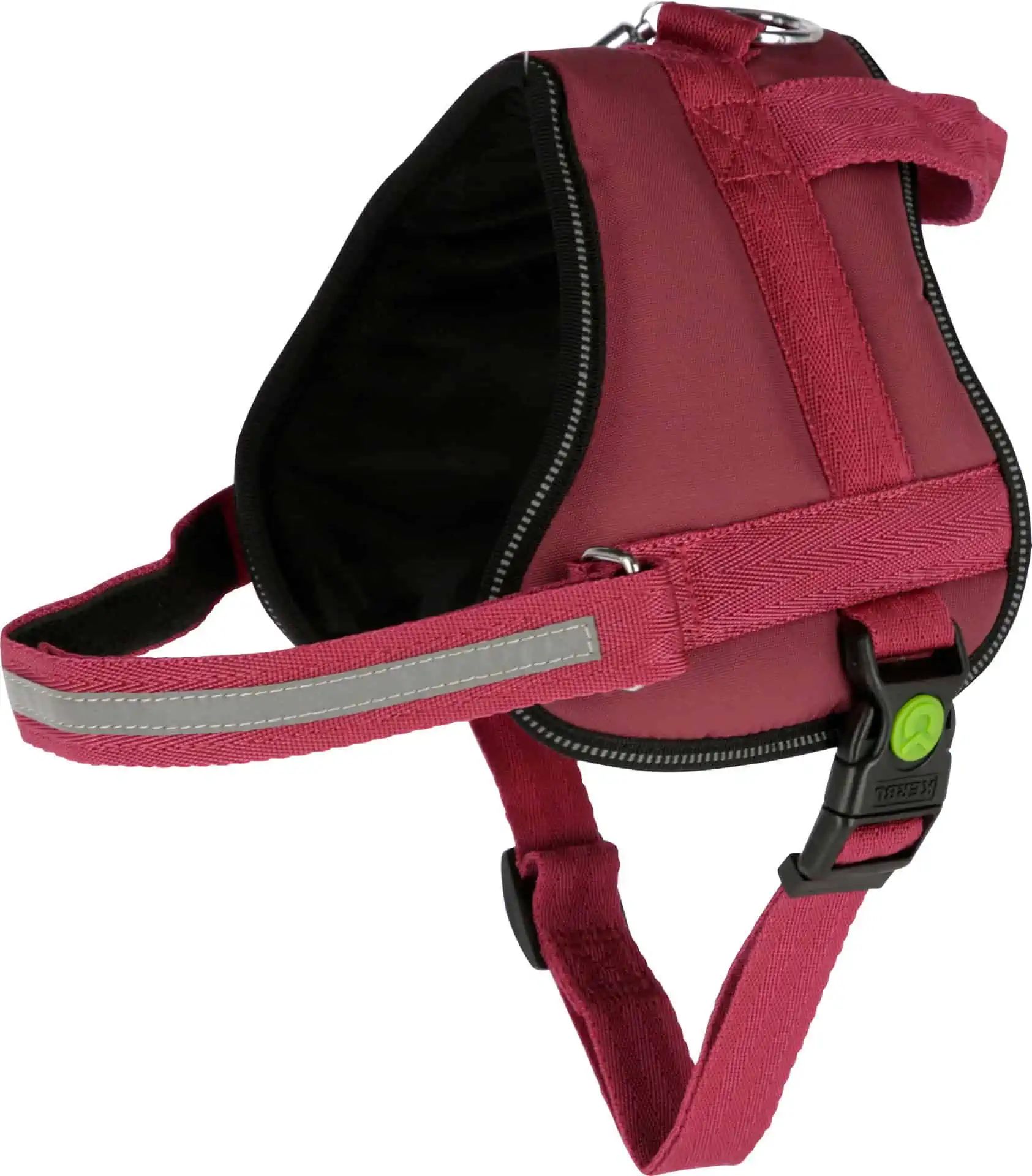 Harnais pour chien Maestro 2.0 avec tube d'identification