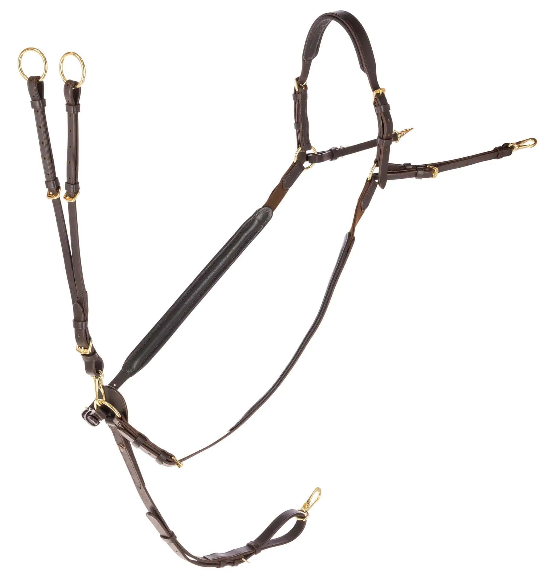 Cuirasse Covalliero marron, COB