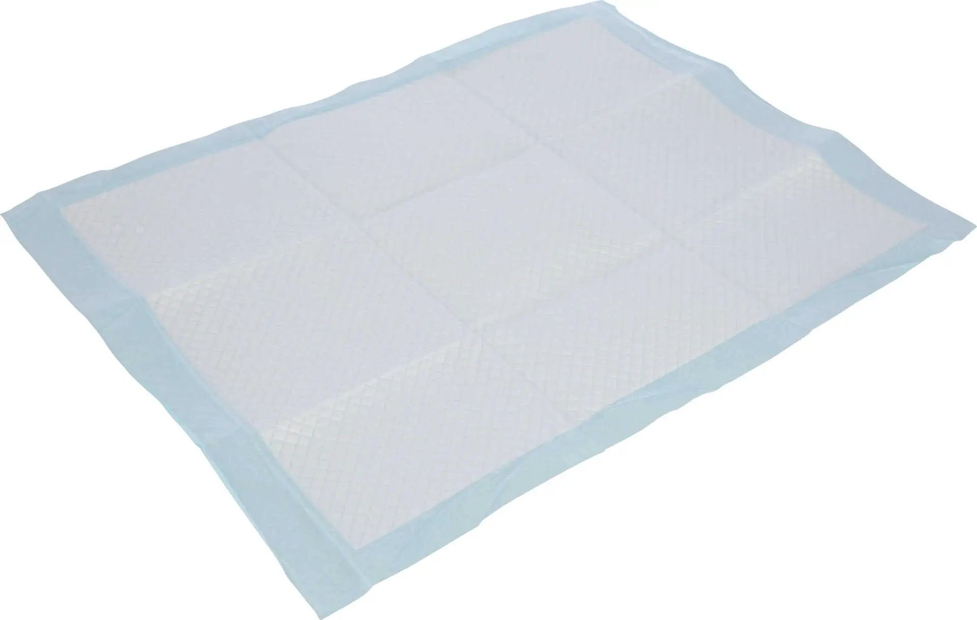 Tapis d'entraînement pour chiots