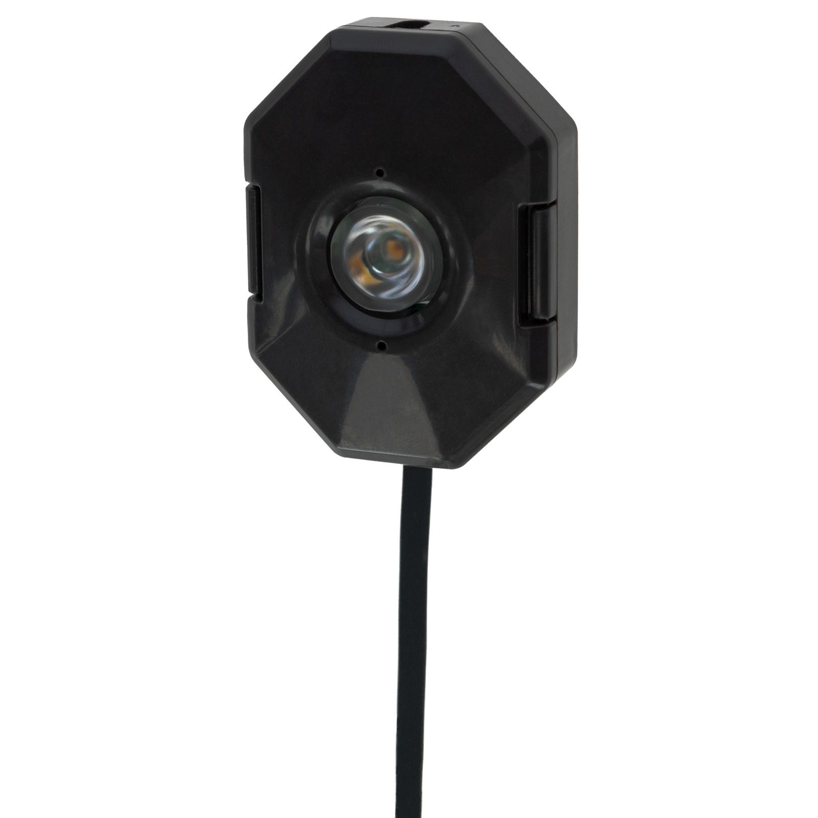 SmartCoop Illuminazione a LED per pollaio