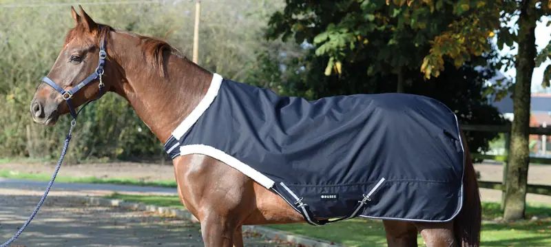 Coperte da passeggio per cavalli