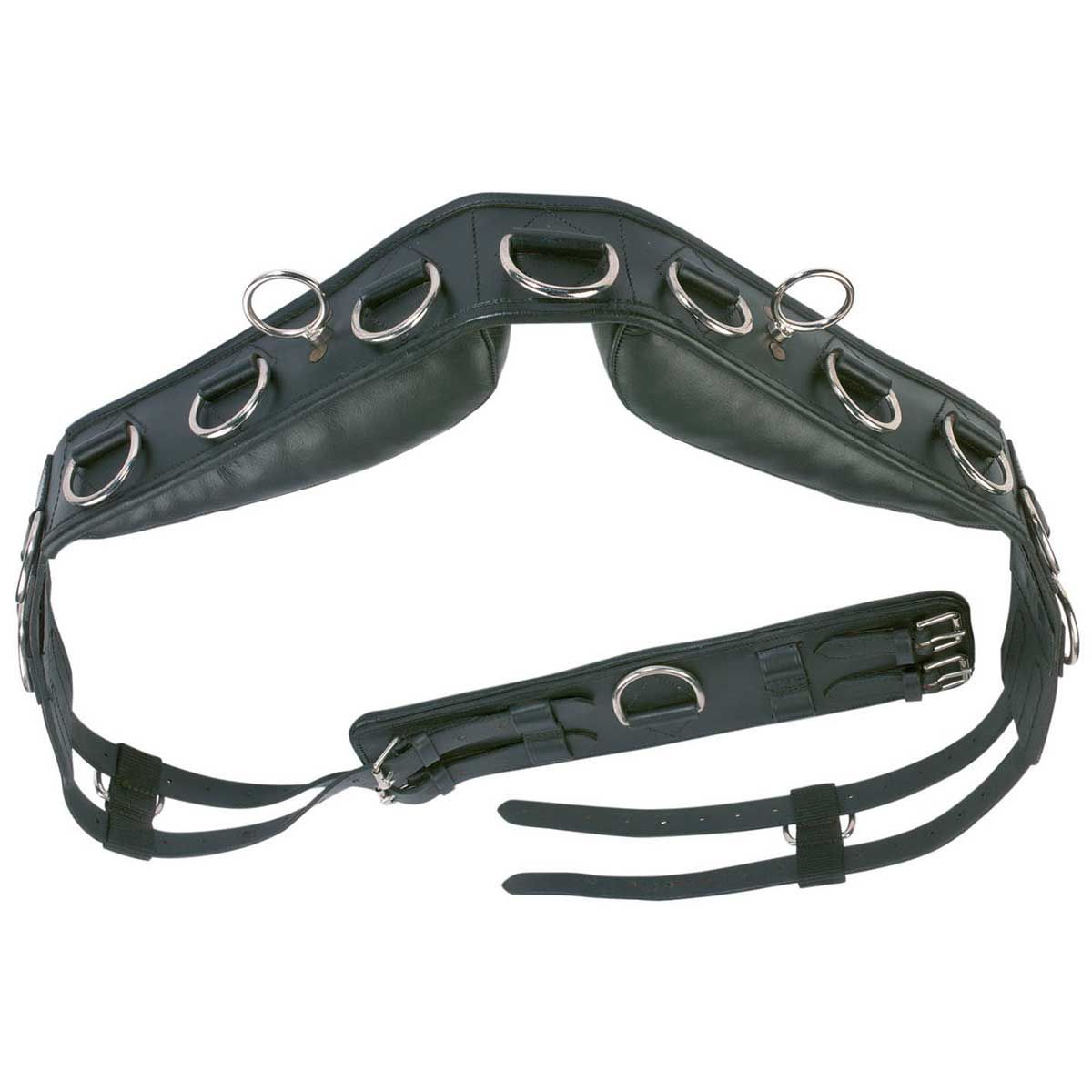 BUSSE Fascione da addestramento PROFESSIONAL-LEDER