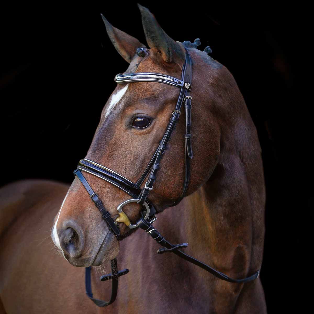Kerbl Snaffle bridle Kingston med tyglar