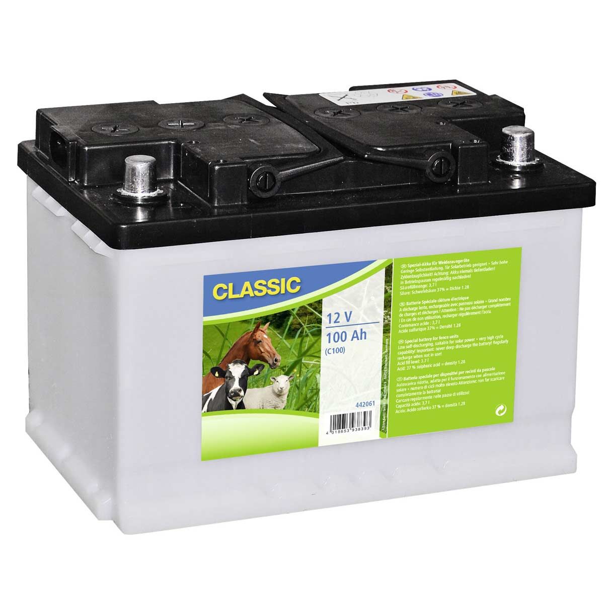 Batteria speciale per recinto elettrico 12 V 100 Ah a umido