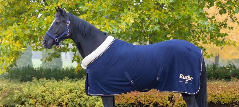Coperte assorbisudore per cavalli