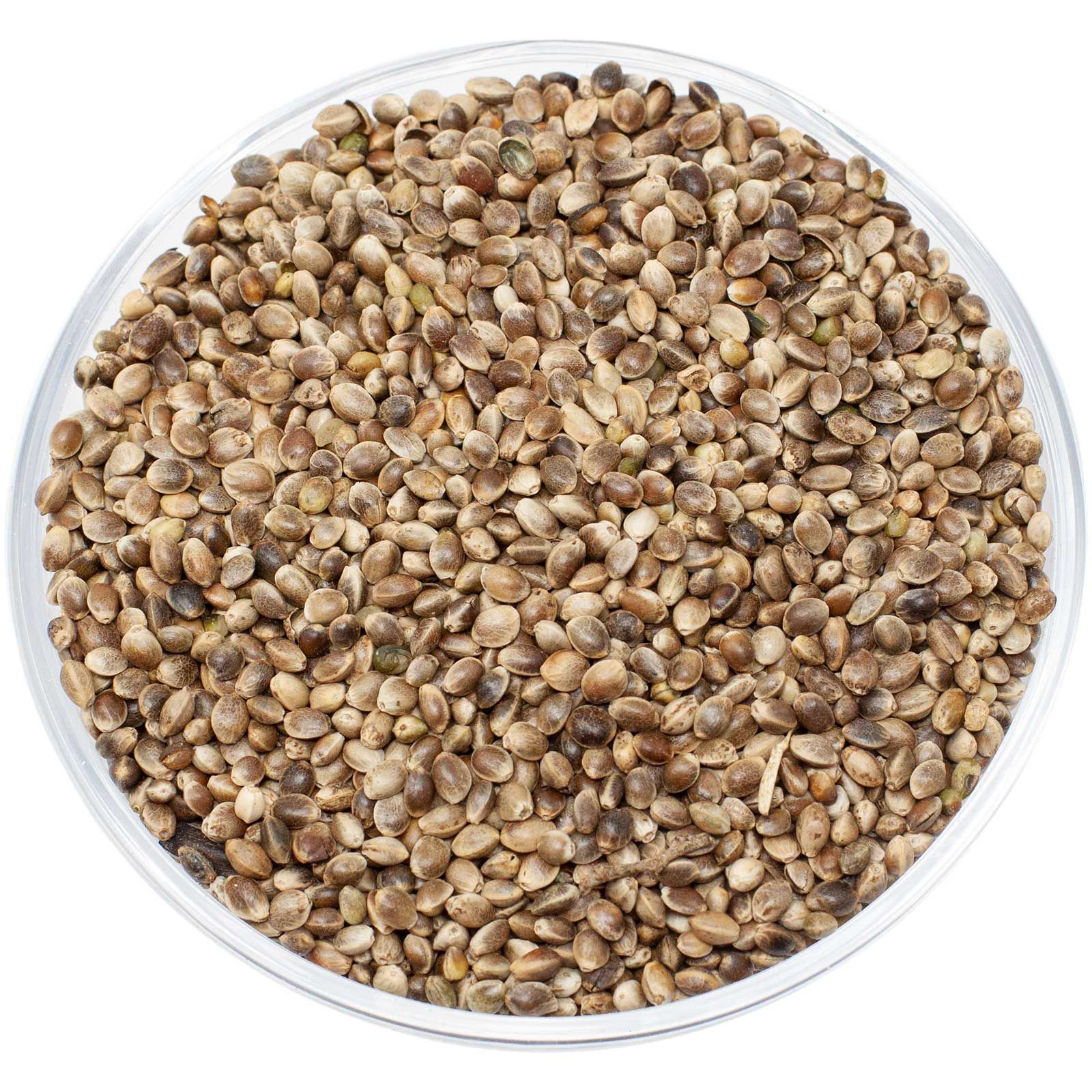 Leimüller Hanfsaat europäisch 1 kg