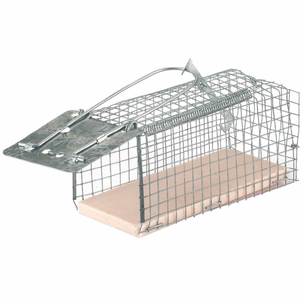 Wire Cage Mouse Trap Alive