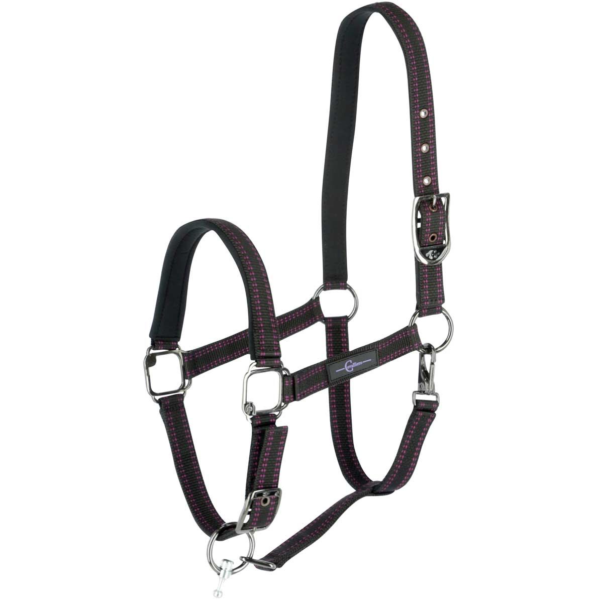GoLeyGo 2.0 licou de cheval