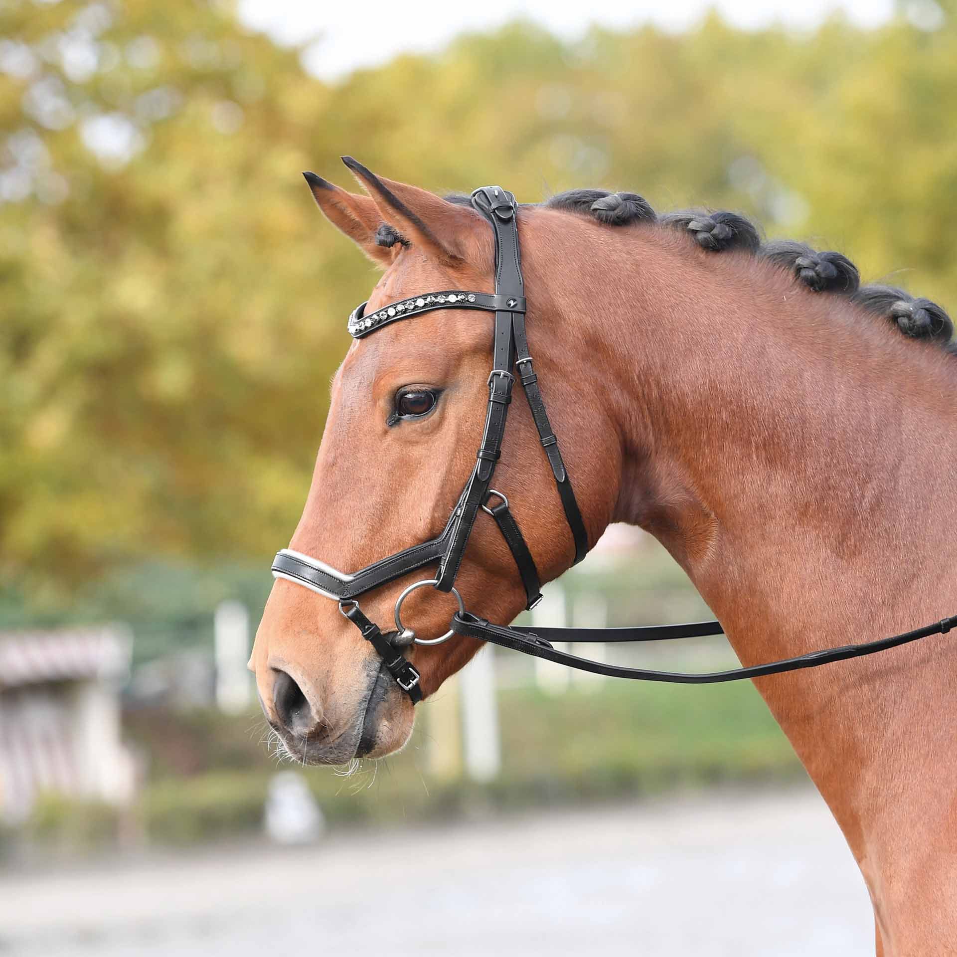BUSSE Testiera FEELING FULL bianco/nero