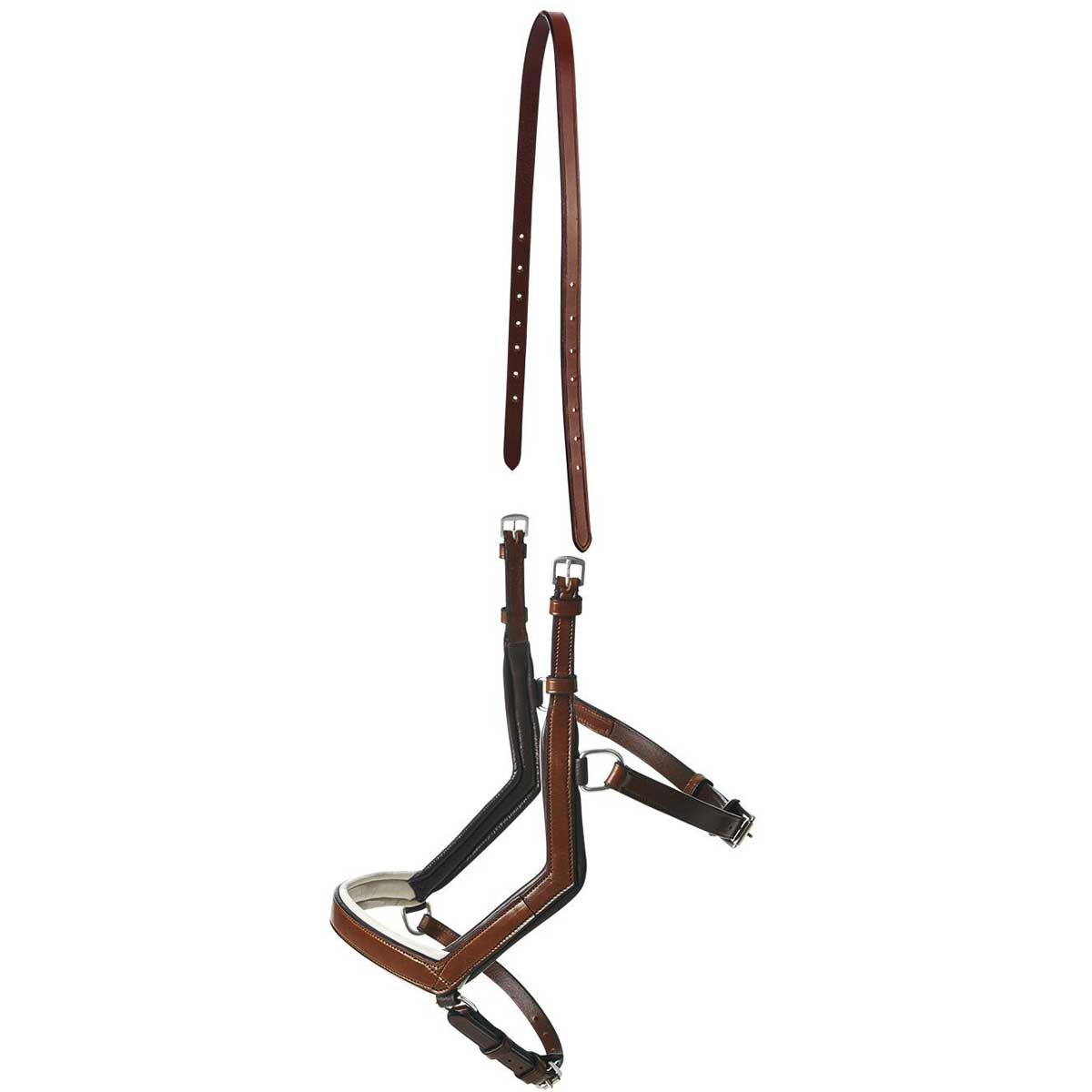 BUSSE Capezzina MODENA