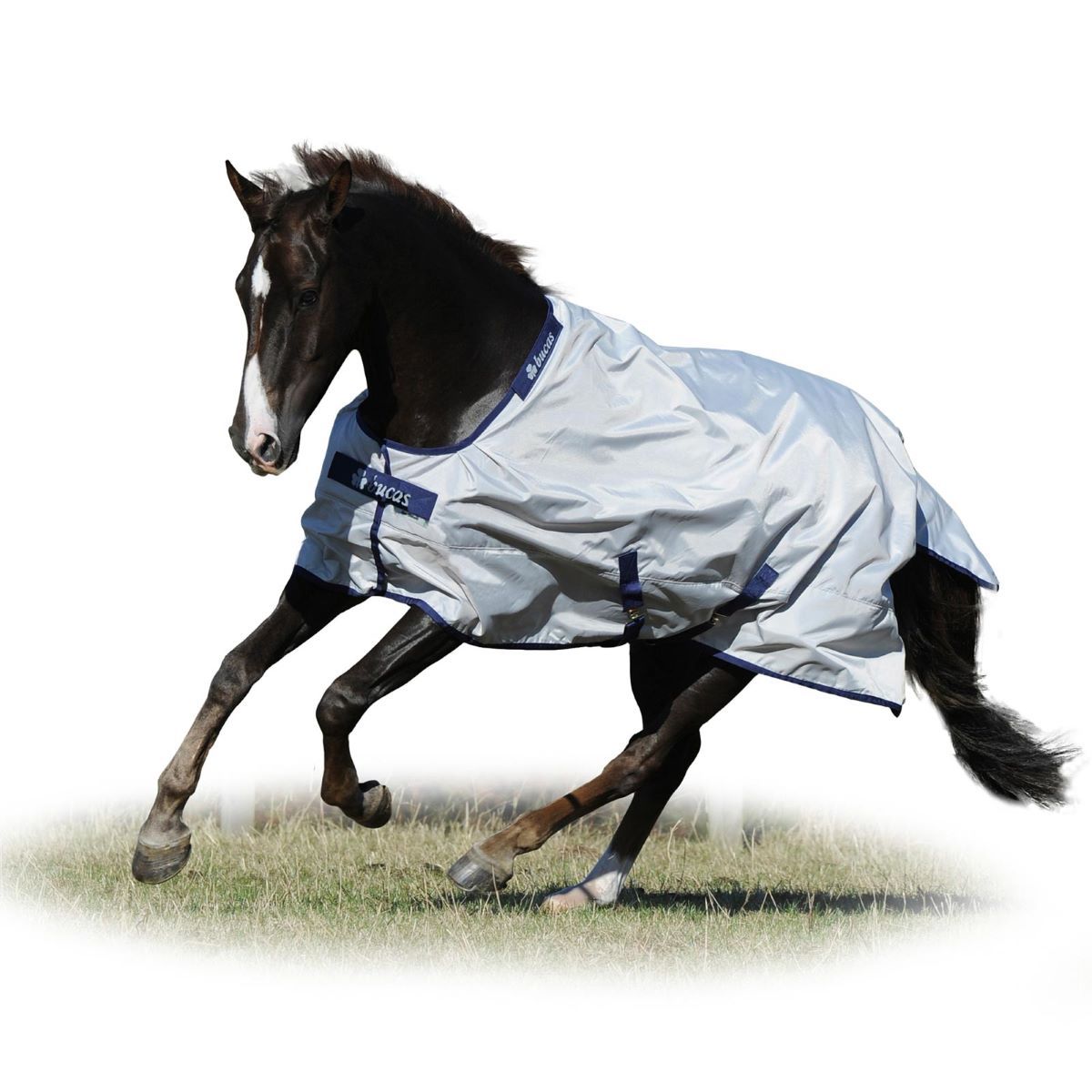 Couverture cheval Bucas Sun-Shower