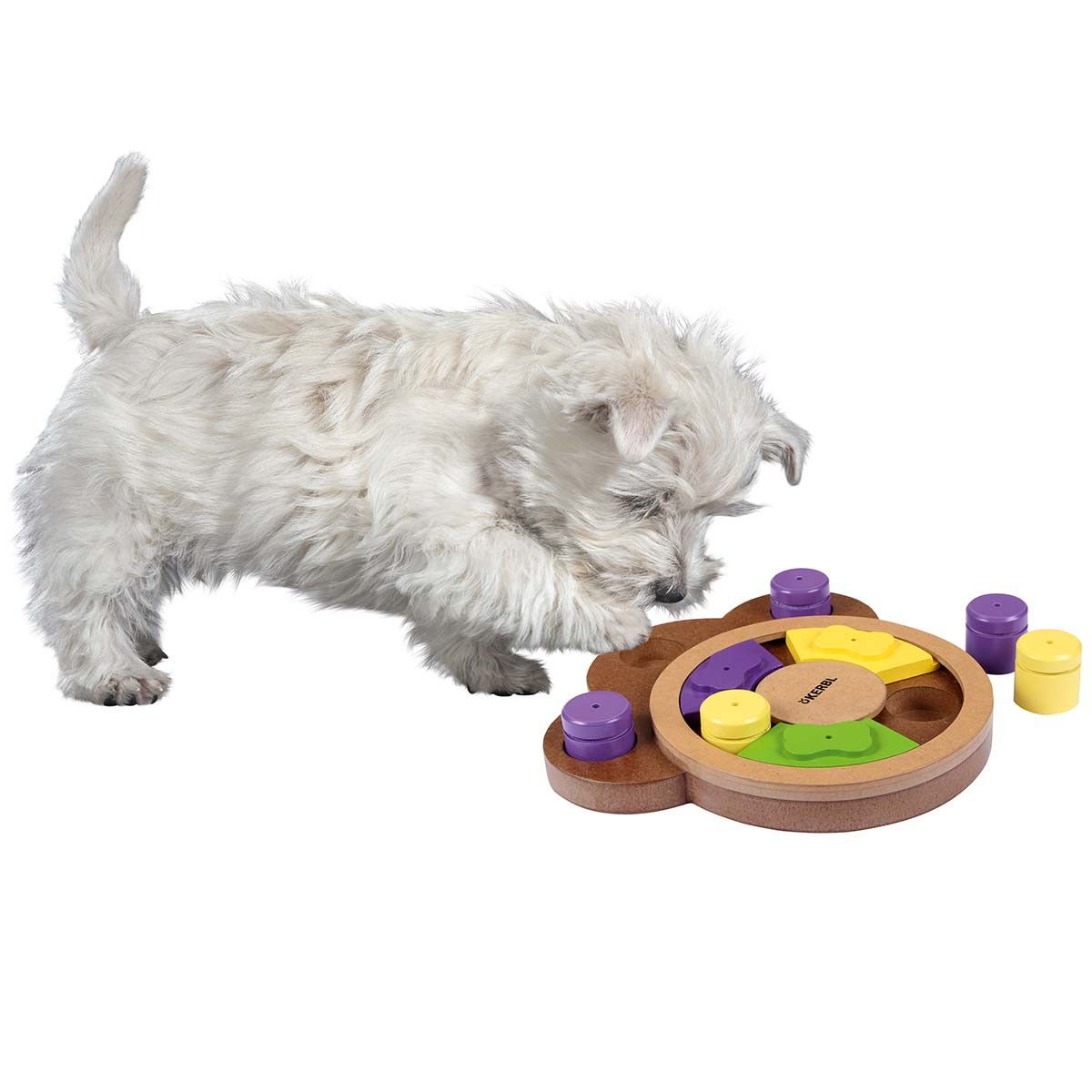 Kerbl Denkspielzeug Lernspielzeug PAW für Hunde