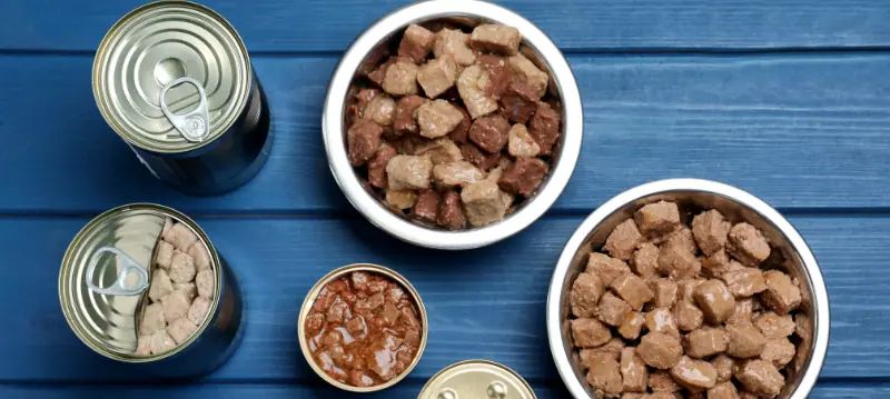 Cibo umido per cani