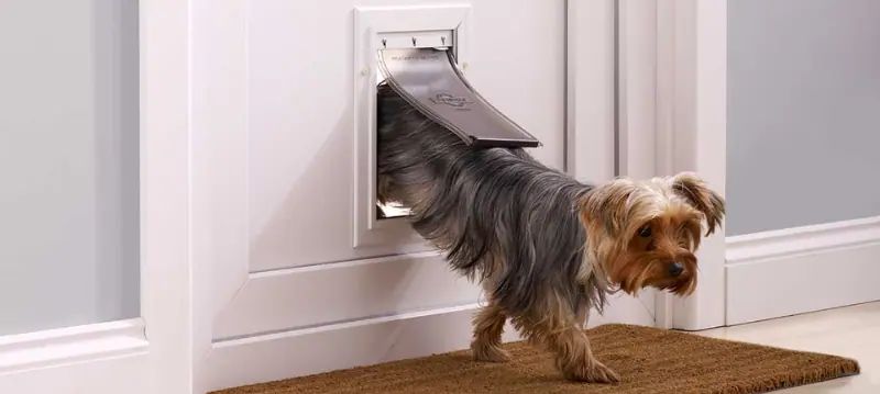 Porte basculanti per cani