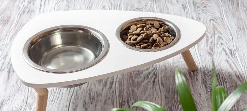 Stazioni di alimentazione per cani
