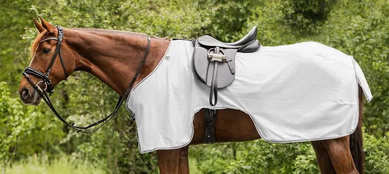 Coperte da equitazione