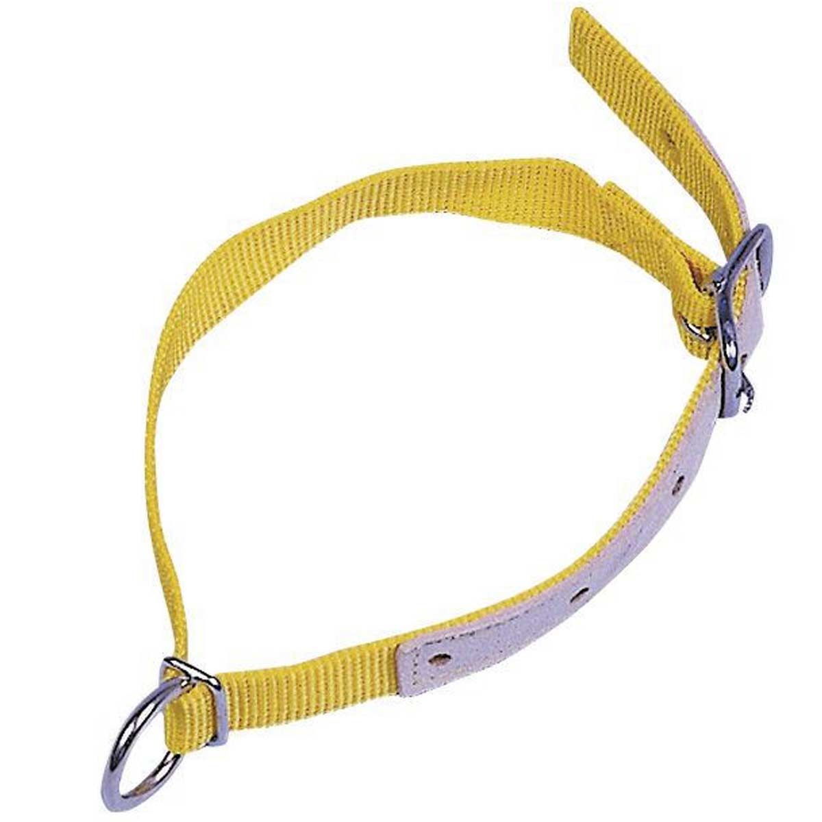 Collare per pecore 60 cm
