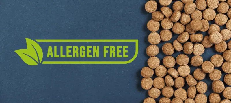 Mangimi per cani con allergie