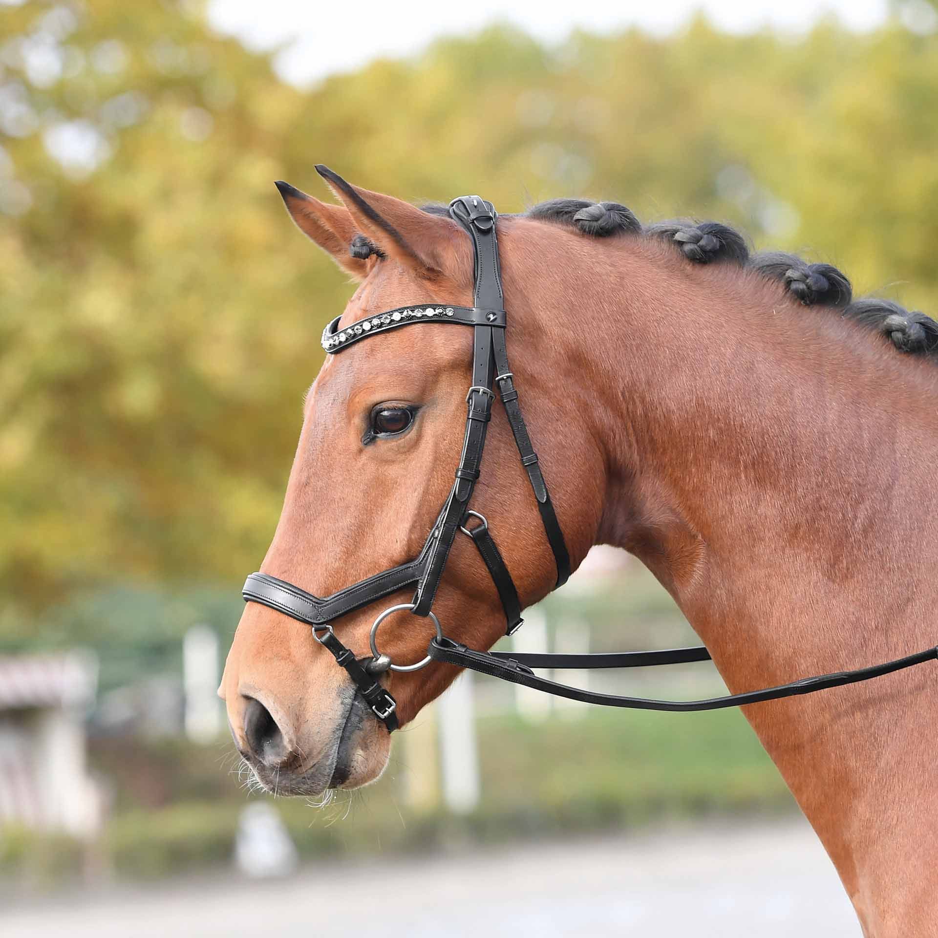 BUSSE Testiera FEELING Pony nero