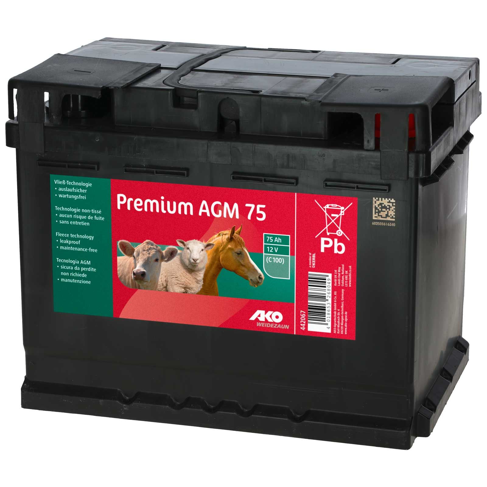 Baterie Premium AGM pentru garduri electrice 12 v 75 Ah