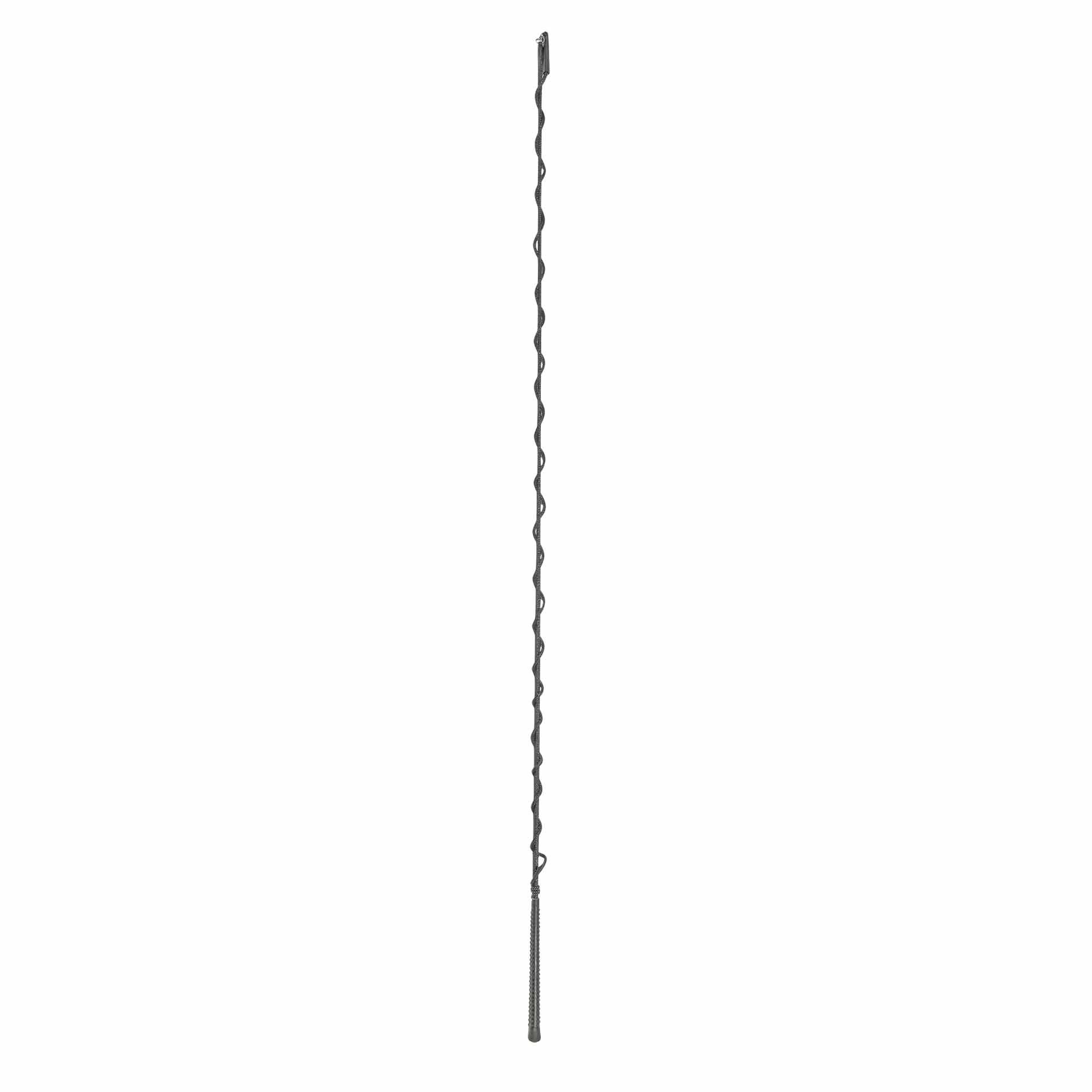 BUSSE Frusta da addestramento lunga LANG 180 nero
