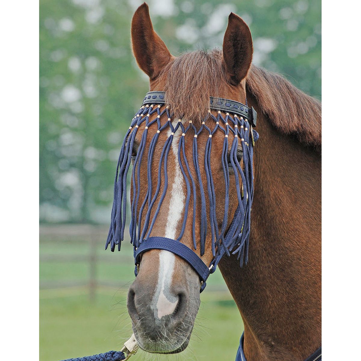 BUSSE Frontalino antimosche EXCLUSIV