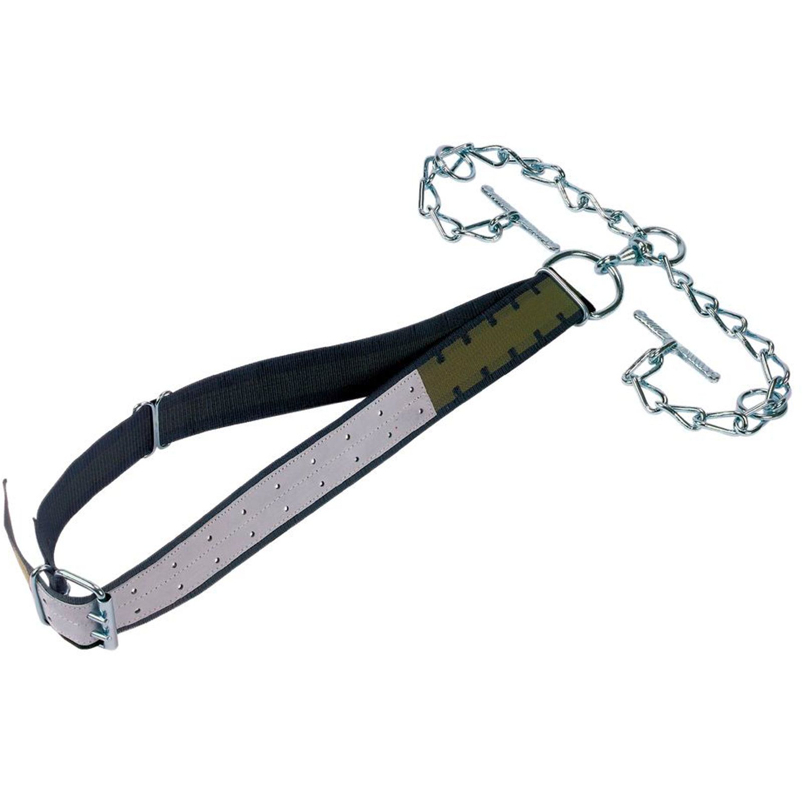 Bullenanbindung mit Halsband, D-Ring, Knebel 170 x 7 cm
