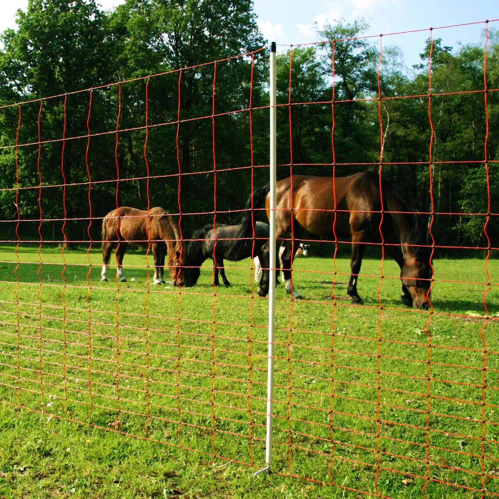 Filet Euro-Mustang électrifié, double pointe, orange, 50 m x 145 cm