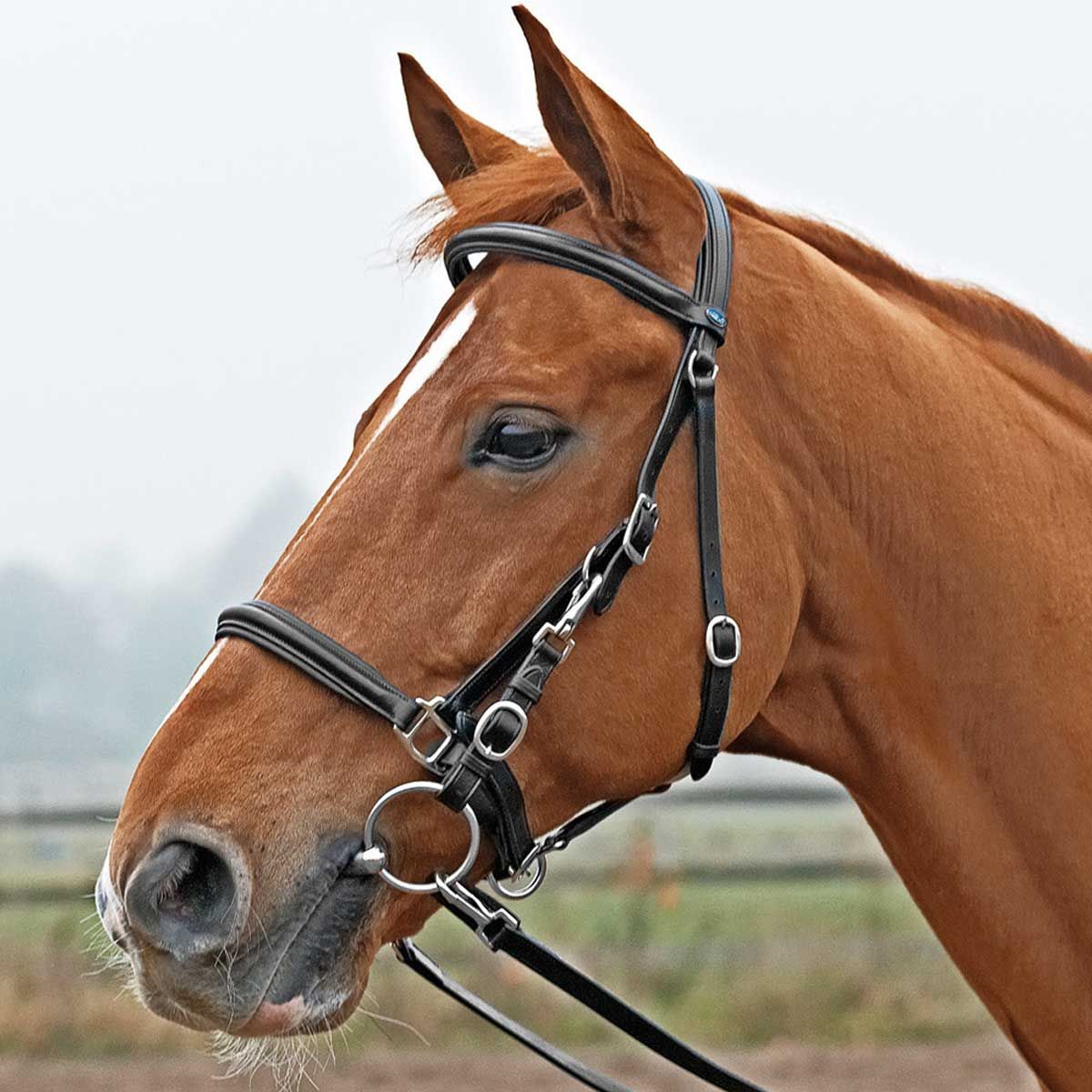 BUSSE Testiera per trail riding SOLIBEL