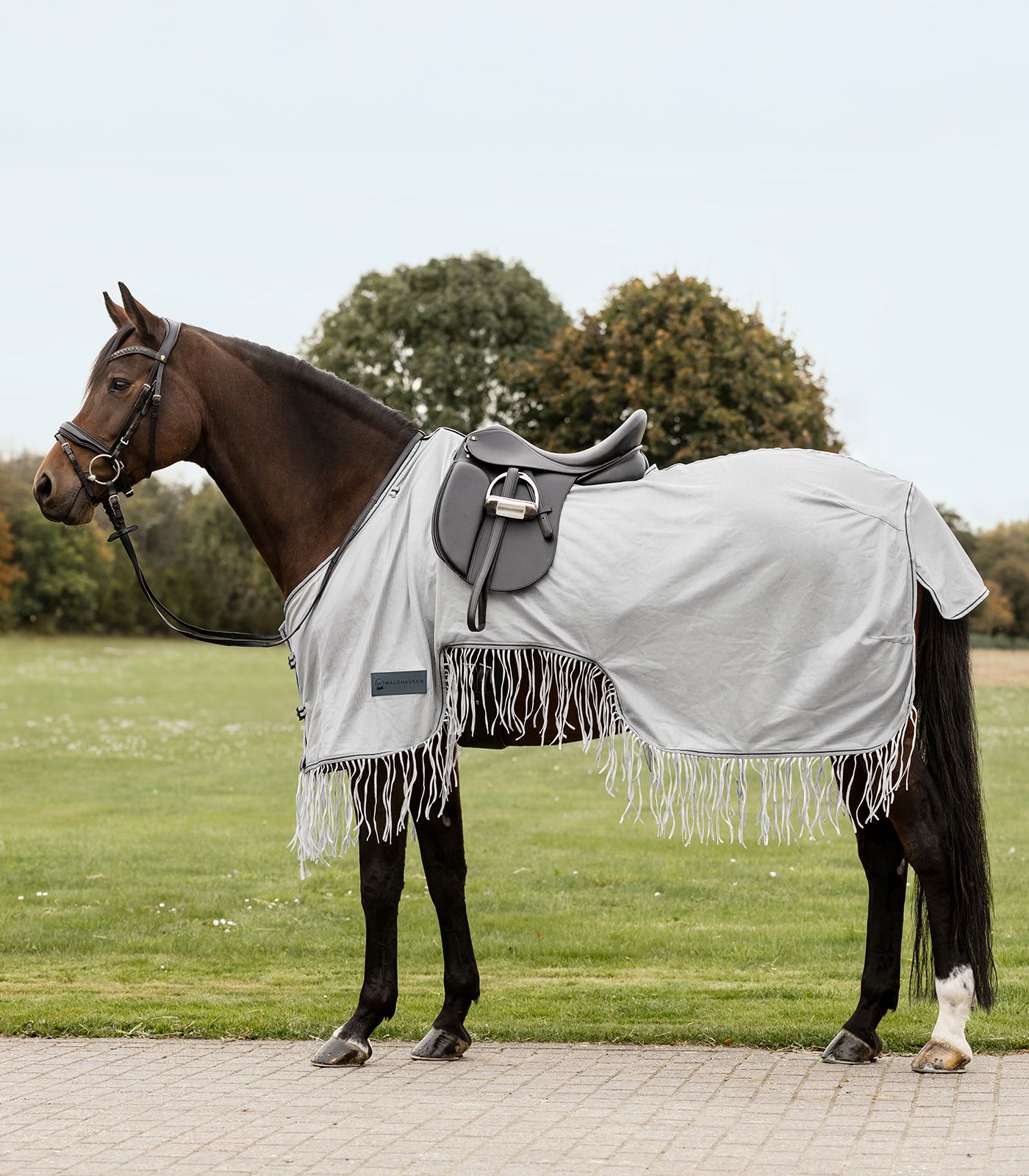 Waldhausen Couverture d'été anti-mouches Protect avec franges, gris argenté/gris, 115 cm