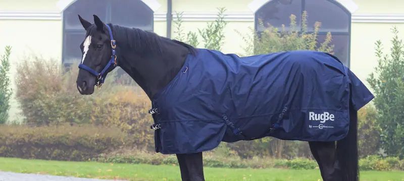 Coperte antipioggia per cavalli